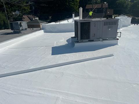 Sample image of a silicone roof