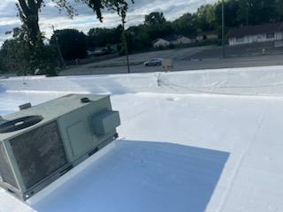 Sample image of a silicone roof