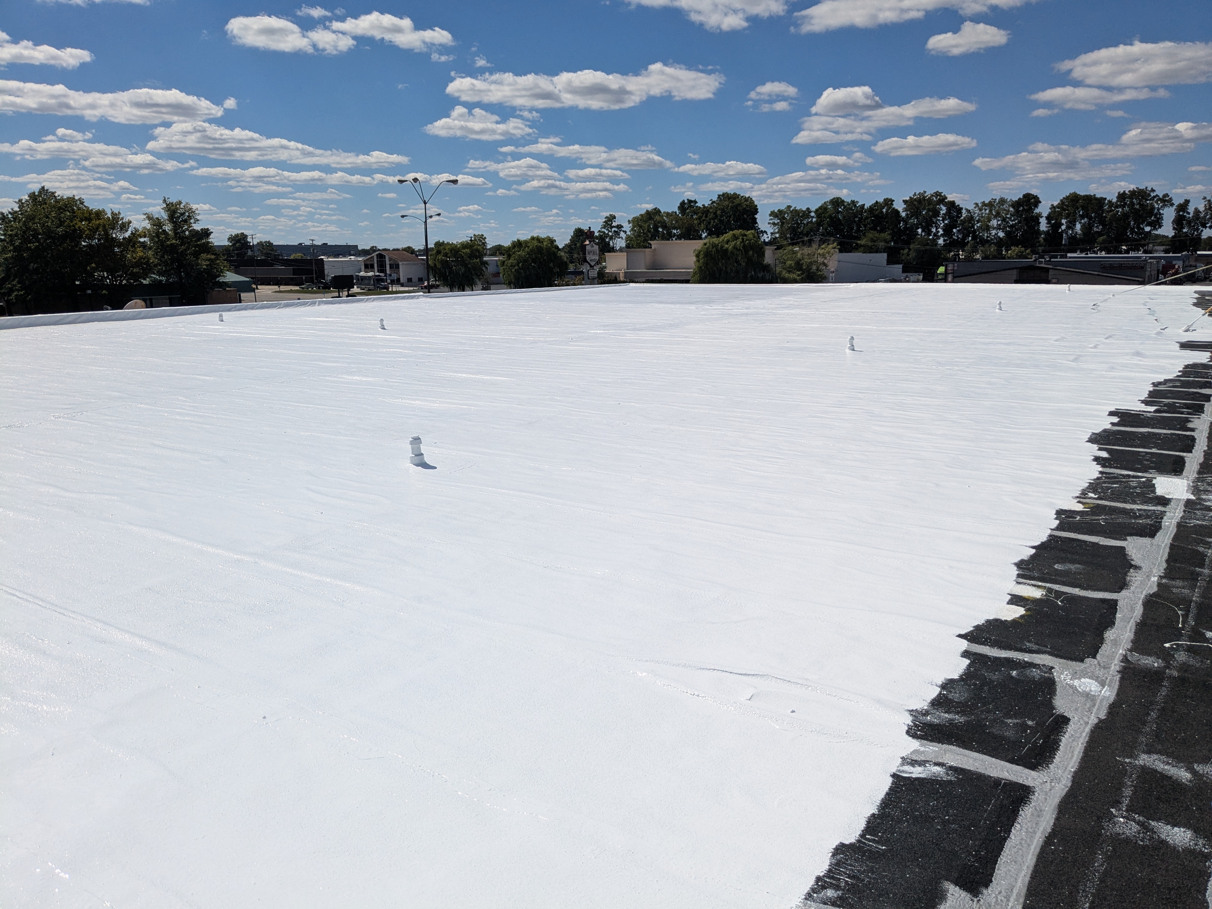 Sample image of a silicone roof