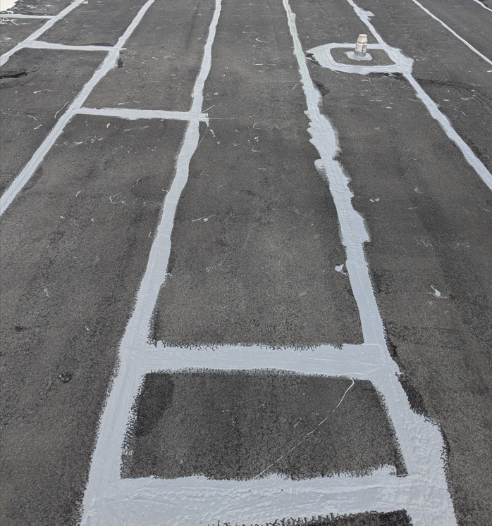 Sample image of a silicone roof
